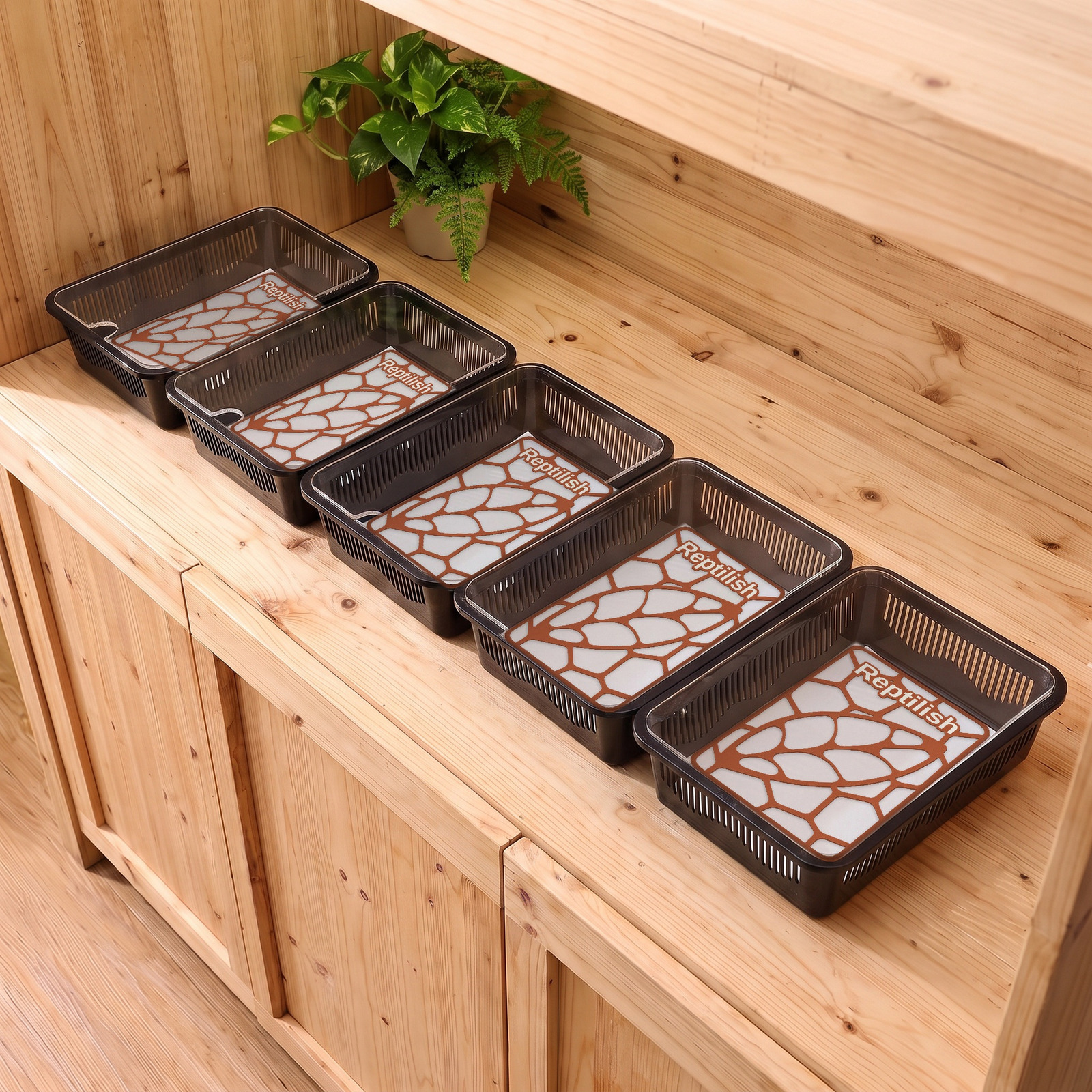 Pięć czarnych faunariów na drewnianej półce w sklepie, w środku płytki Pebble Plate w kolorze Terracotta